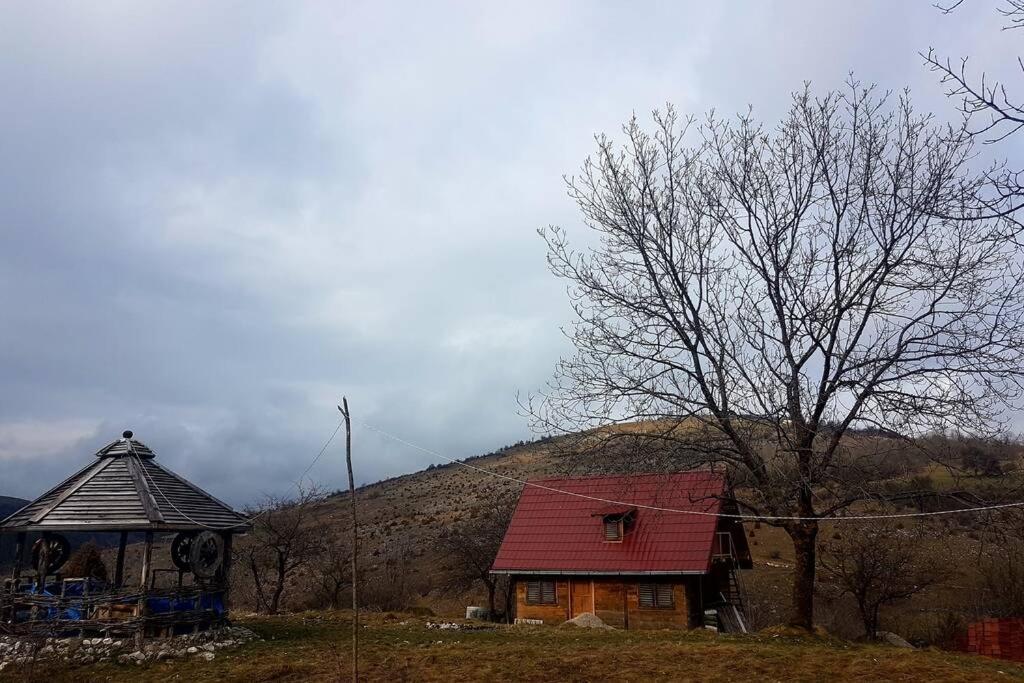Log Cabin Uvac Nova Varos Exterior photo