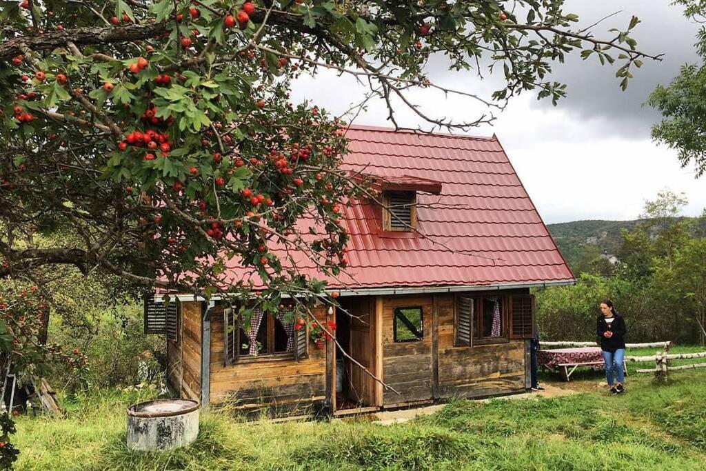 Log Cabin Uvac Nova Varos Exterior photo